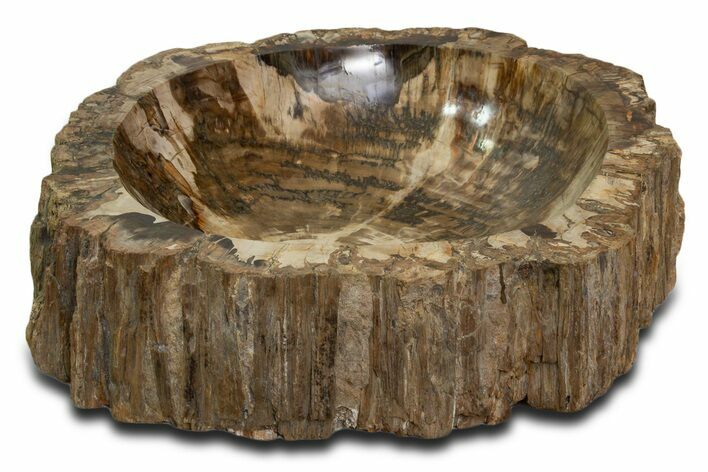Polished Petrified Wood Bowl ( / lbs) - Madagascar #339301